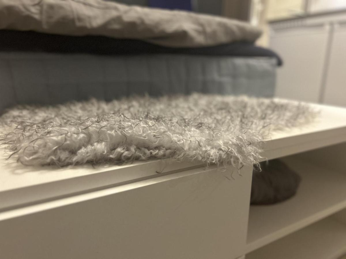 New Studio Apartment In Tromso - Aurora Hotspot Eksteriør billede